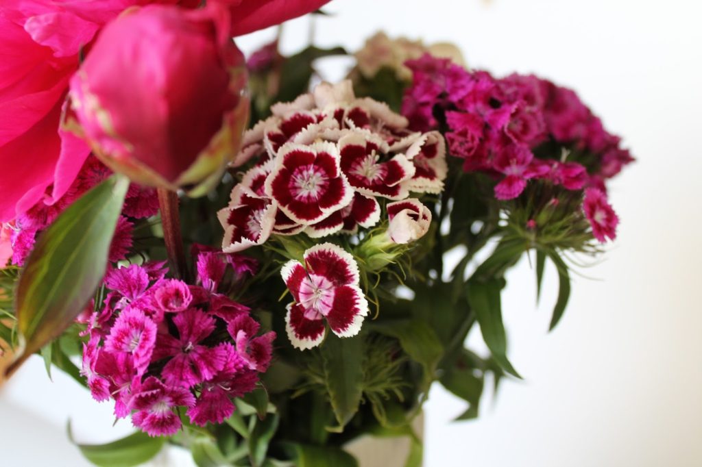 peonies and sweet william