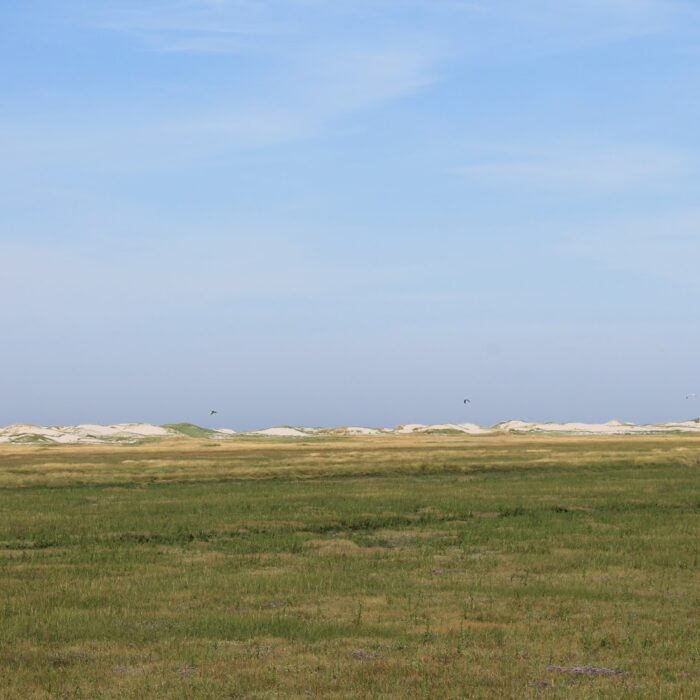 Places, to see before I die: St. Peter Ording!