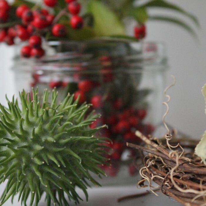 DIY-Ideen für gesammelte Herbstfunde vom Waldspaziergang