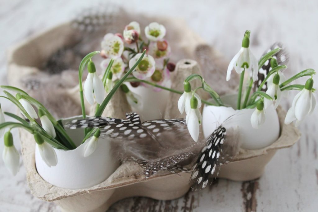 Ostergeschenk Ostern DIY im Eierkarton Eierschalen