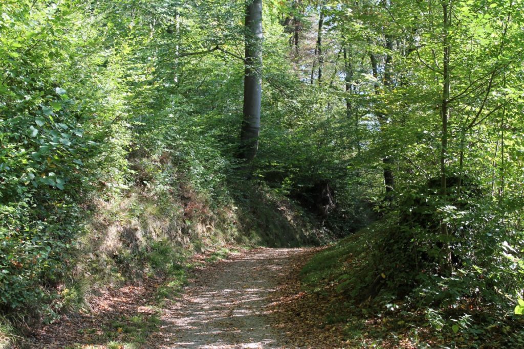 Waldspaziergang mit Kinder Herbst Naturschatzkiste Sachen Suchen Jules kleines Freudenhaus