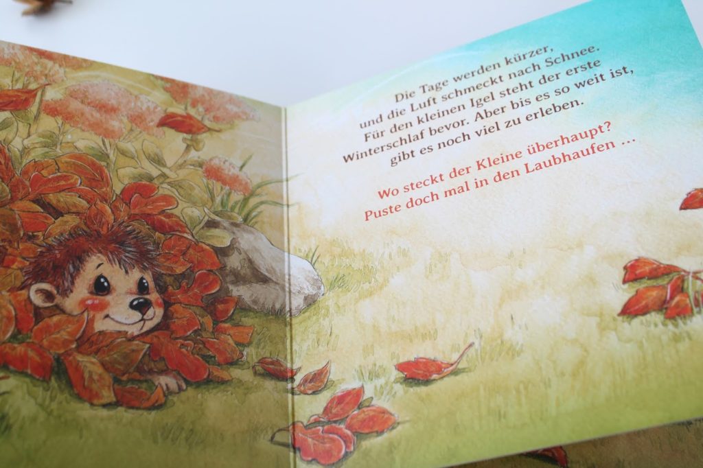 kleiner Igel Herbst Neuheiten Kinderbuecher Boje Verlag Kinderbuchtipp Buchtipp Leseratten Jules kleines Freudenhaus