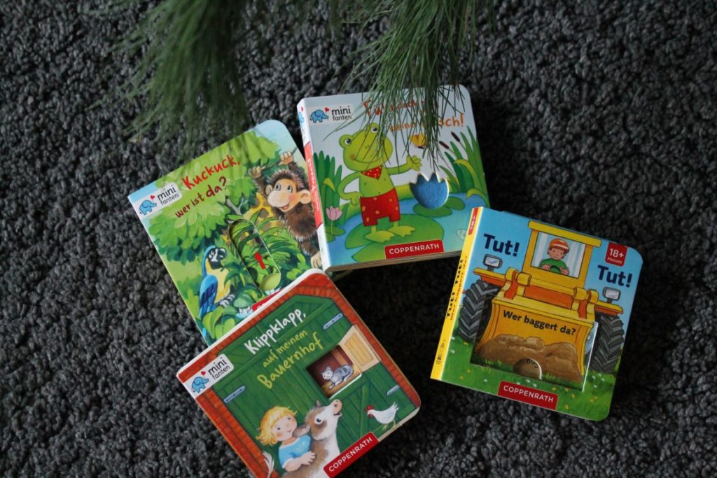 Kinderbuchserie Minifanten