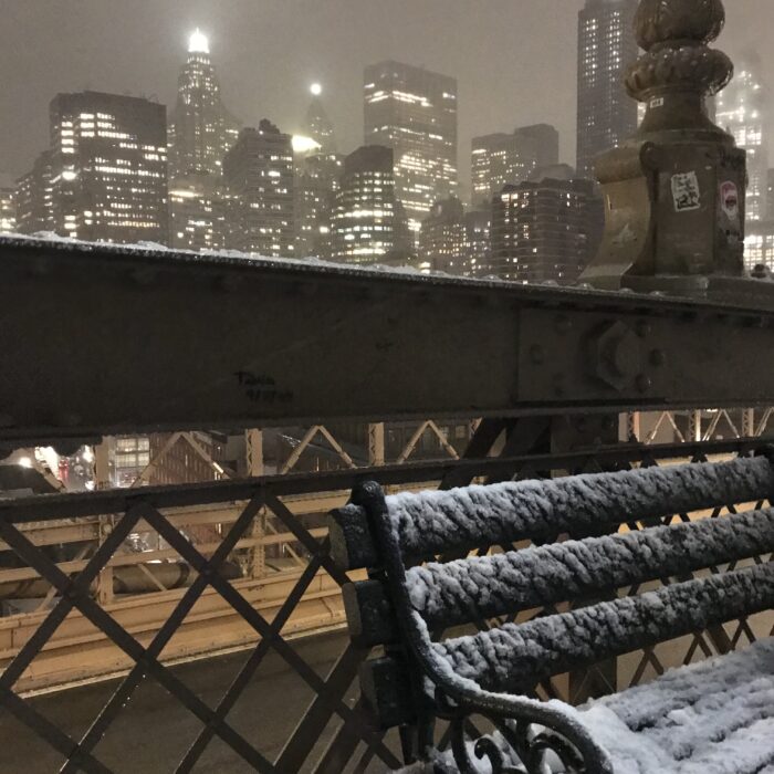 A New York Christmas Shopping Day  und allein eingeschneit auf der Brooklyn Bridge