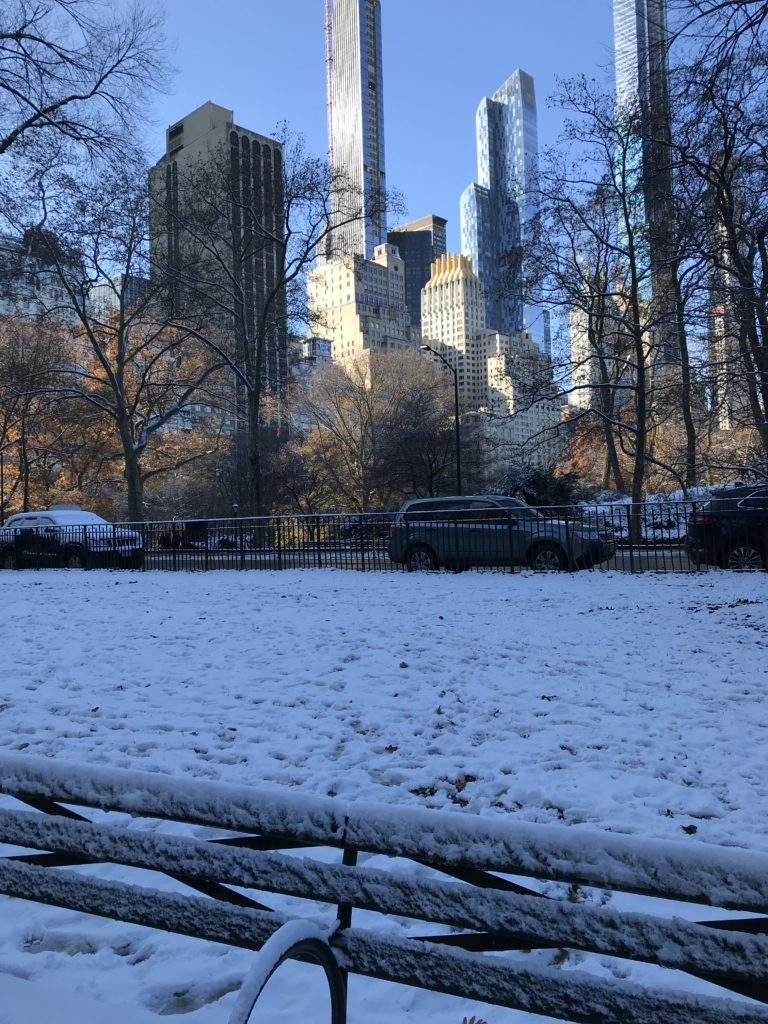 Central Park Winter Wonderland 