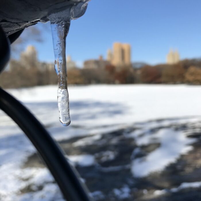 Winter Wonderland at Central Park und Greenwich Village New York