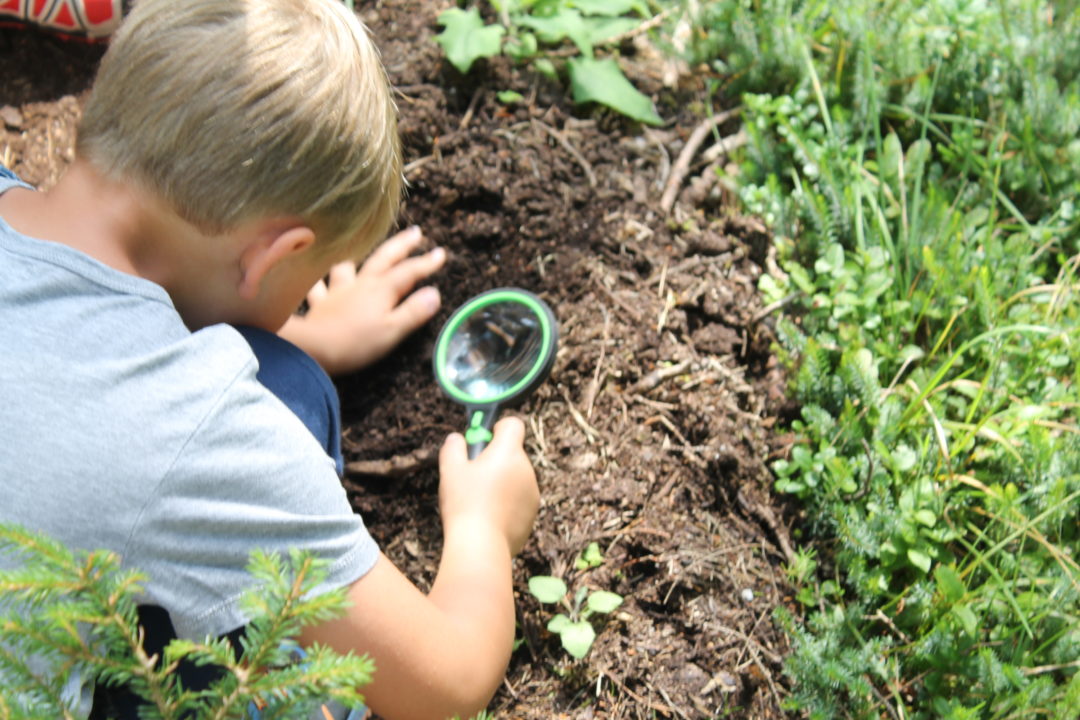 Spielend wandern mit der Familie - unsere 5 besten Ideen - Jules kleine ...