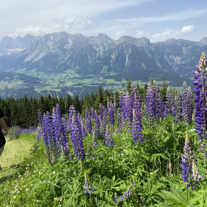 Bergliebe, die unter die Haut geht – Sommerferien 2022