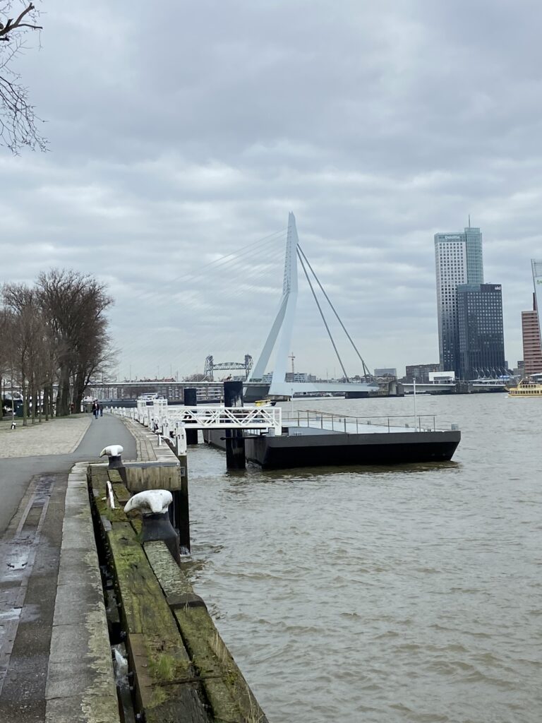 Rotterdam Trip Rhein 