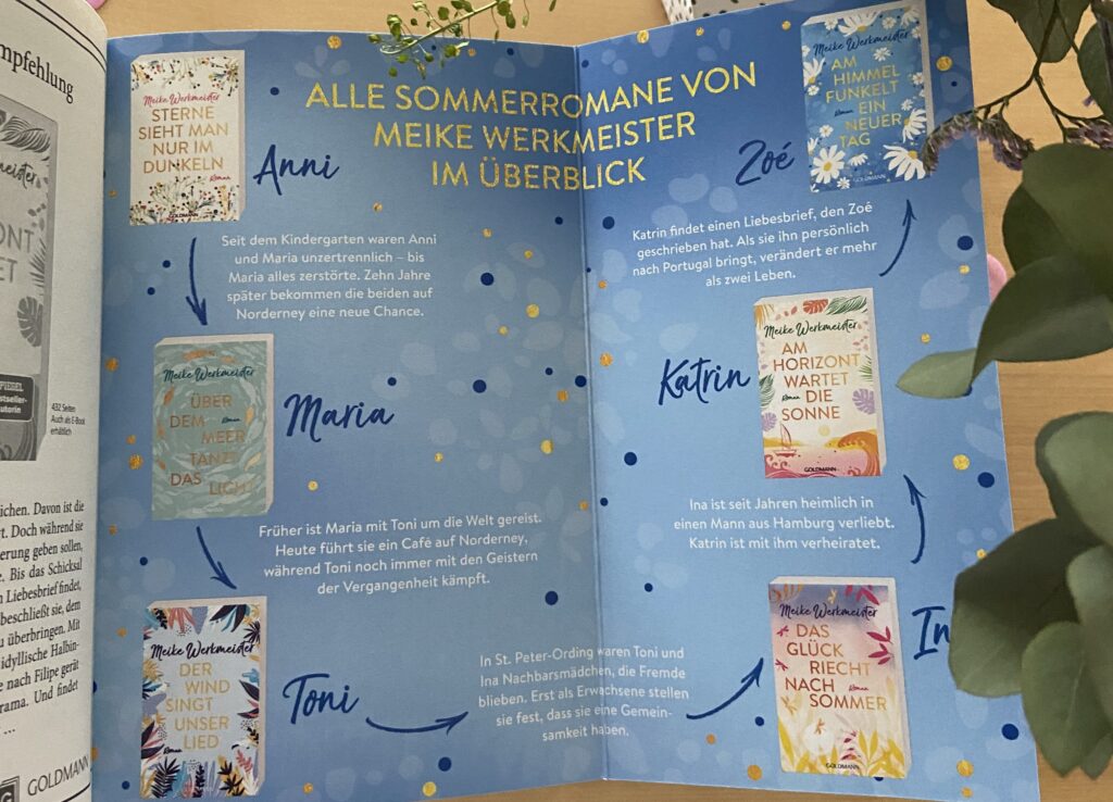 Meike Werkmeister Buch