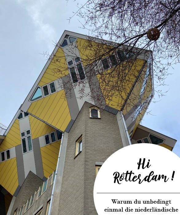 Oh du schönes Rotterdam – meine 10 Lieblingsorte zum Entdecken!