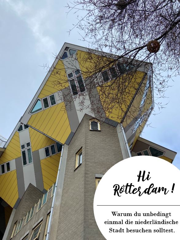 Rotterdam Trip