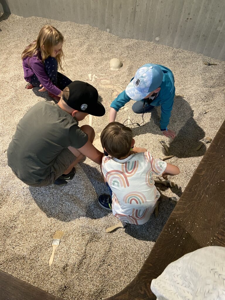 Neanderthal Museum Mettmann