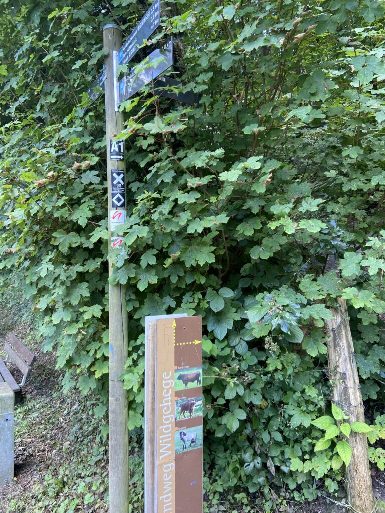 Neanderthal Museum Mettmann Spielplatz