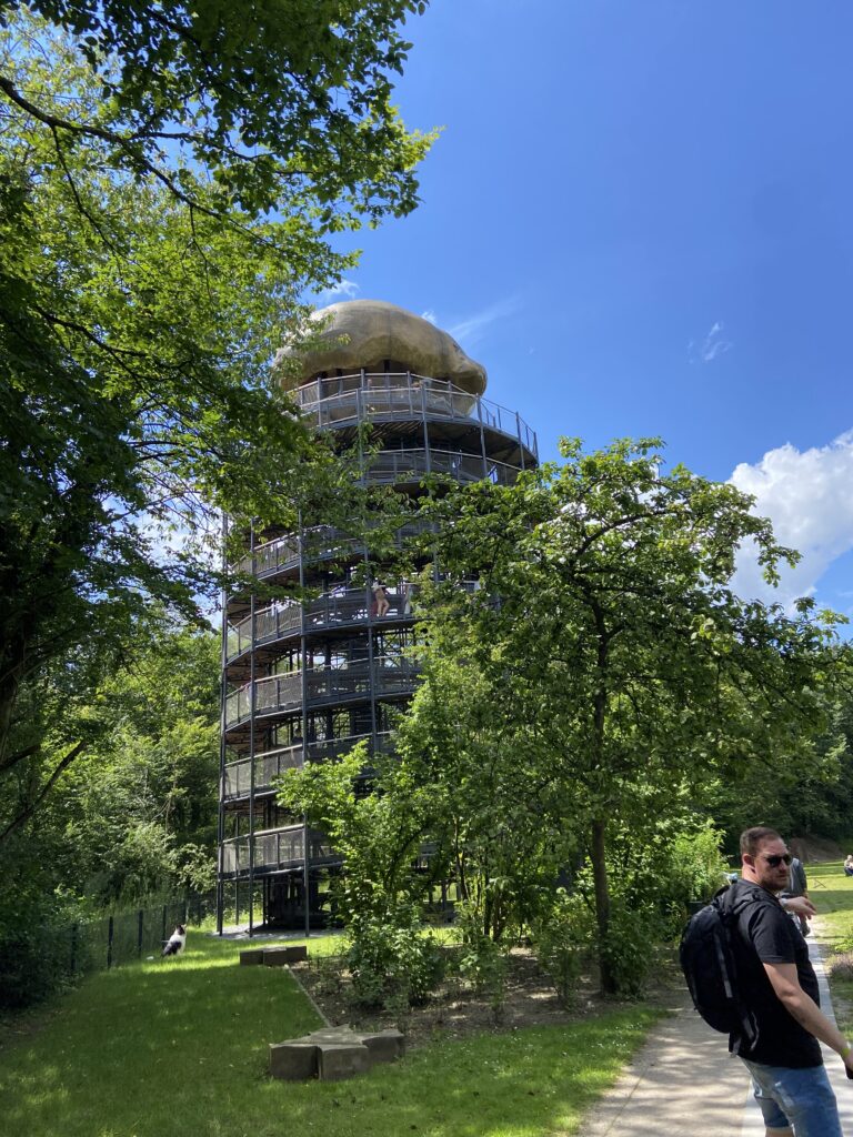 Neanderthal Museum Mettmann Aussichtsturm