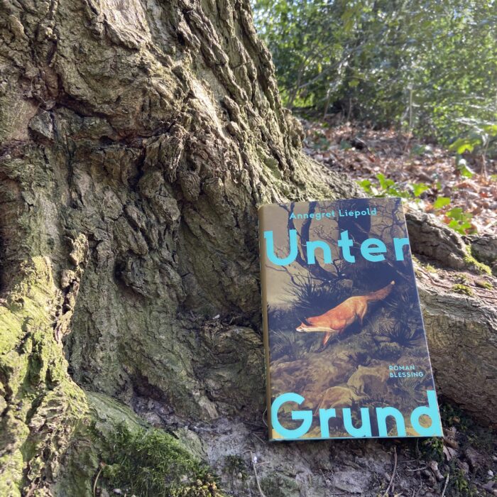 3 Leseempfehlungen für den Frühling