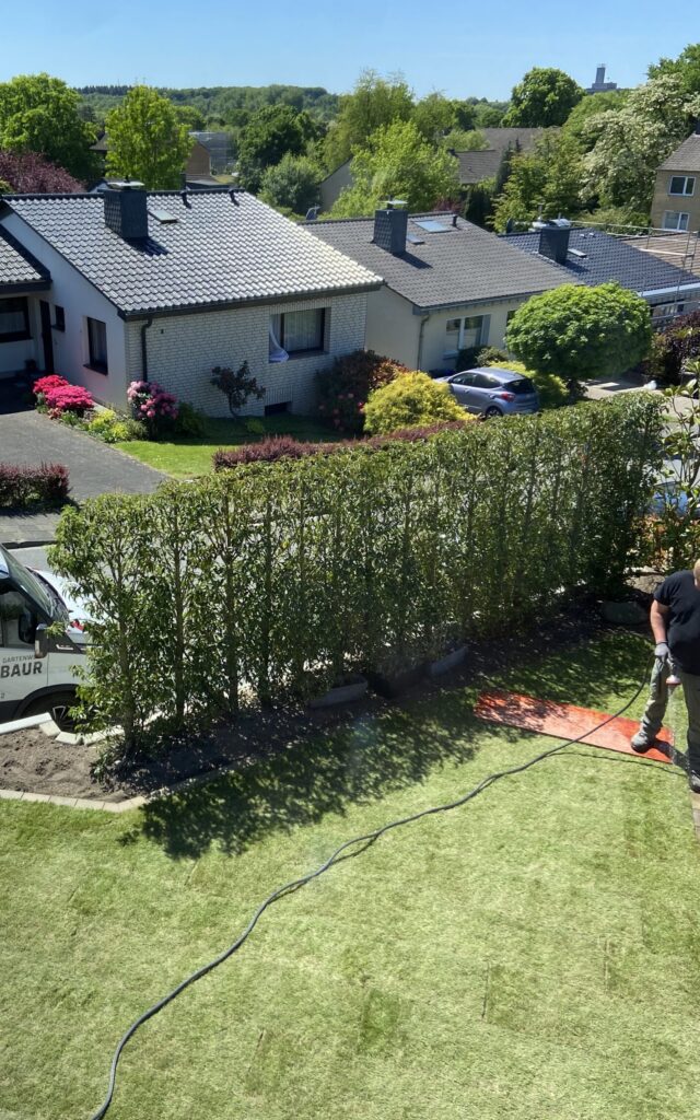Garten Umbau 2025