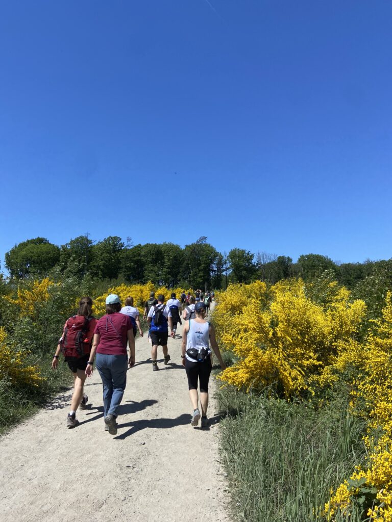Bergische 25 Wandern