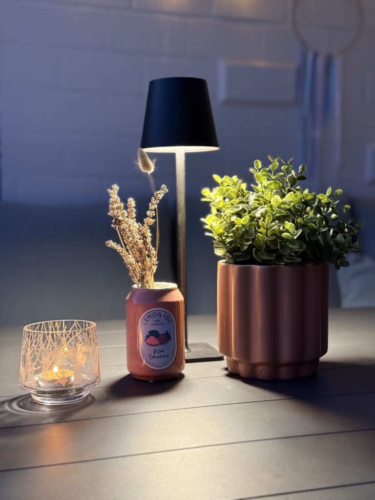 Garten Makeover 2025