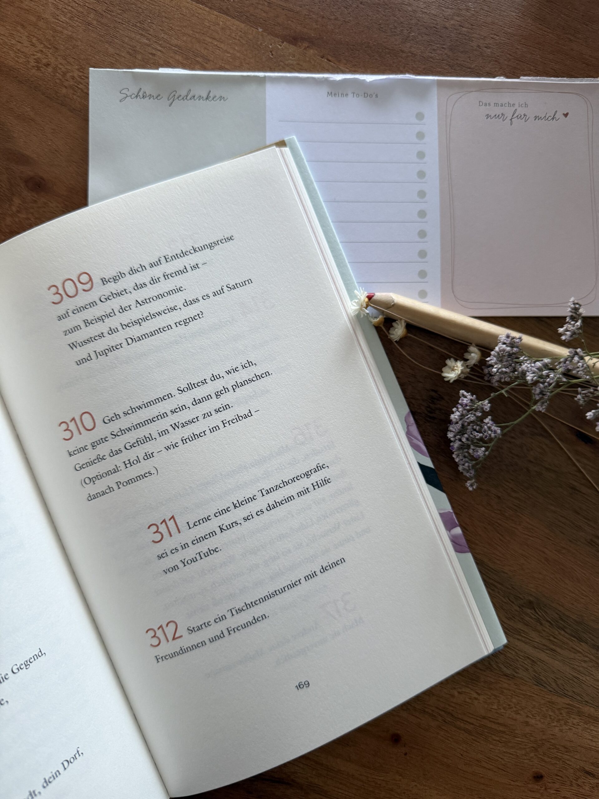 Melanie Raabe Das Jahr der Wunder