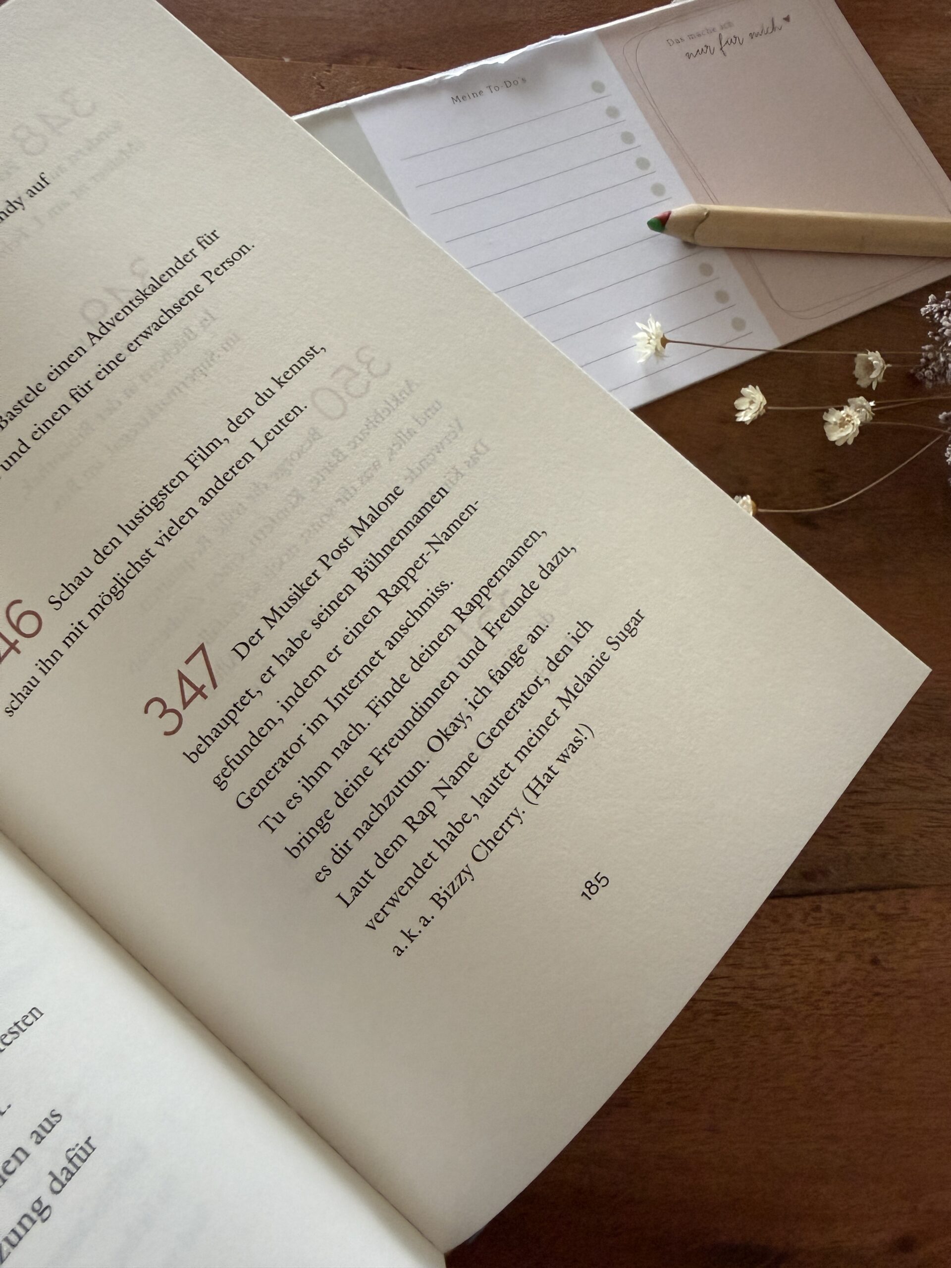 Melanie Raabe Das Jahr der Wunder