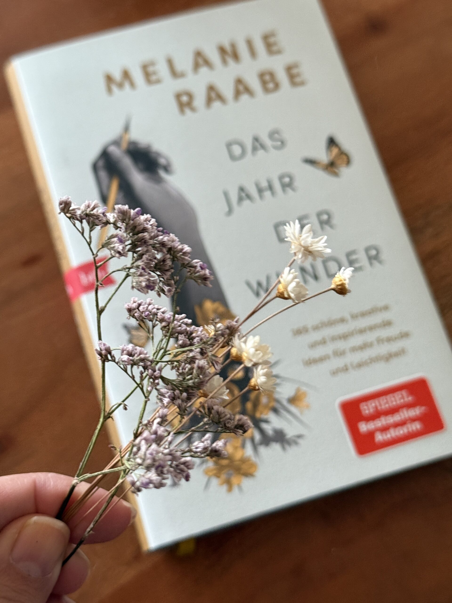 Melanie Raabe Das Jahr der Wunder