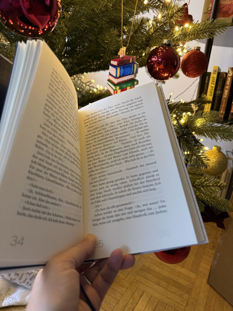 Im Schnee von Tommie Goerz