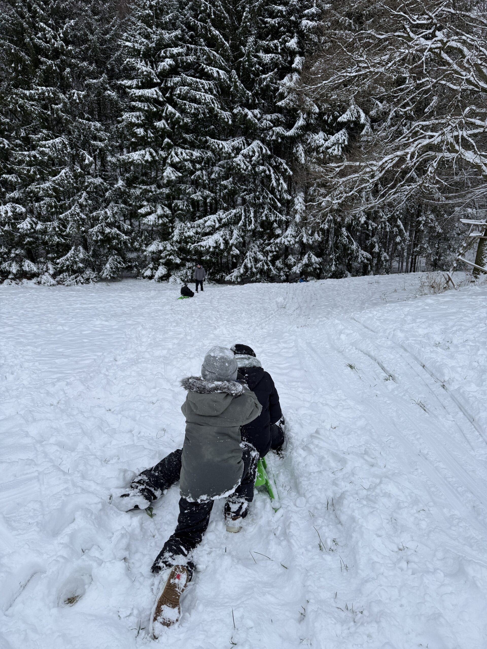 Kinder-Buchtipps 2026