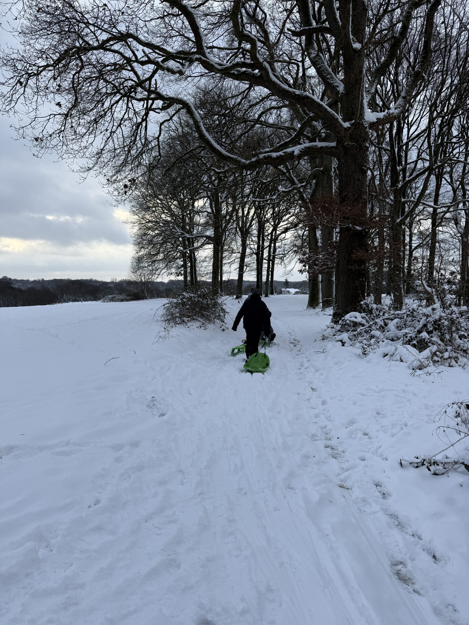 Schlitten fahren 2026