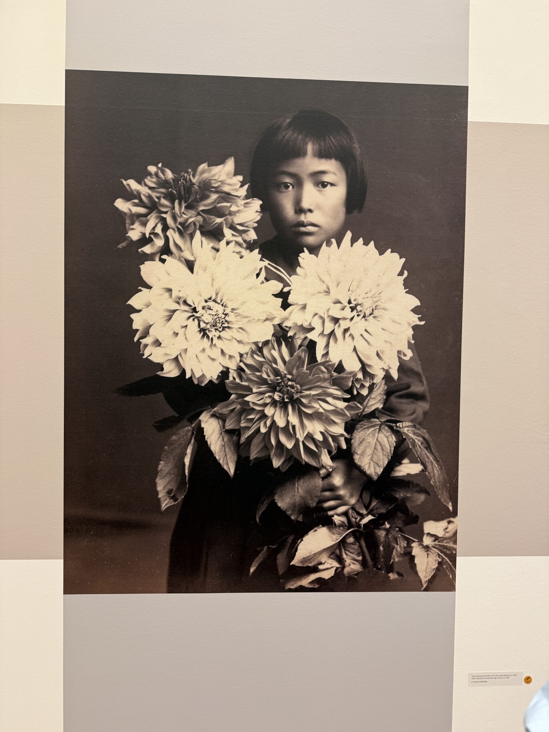 Yayoi Kusama Museum Ludwig Koeln