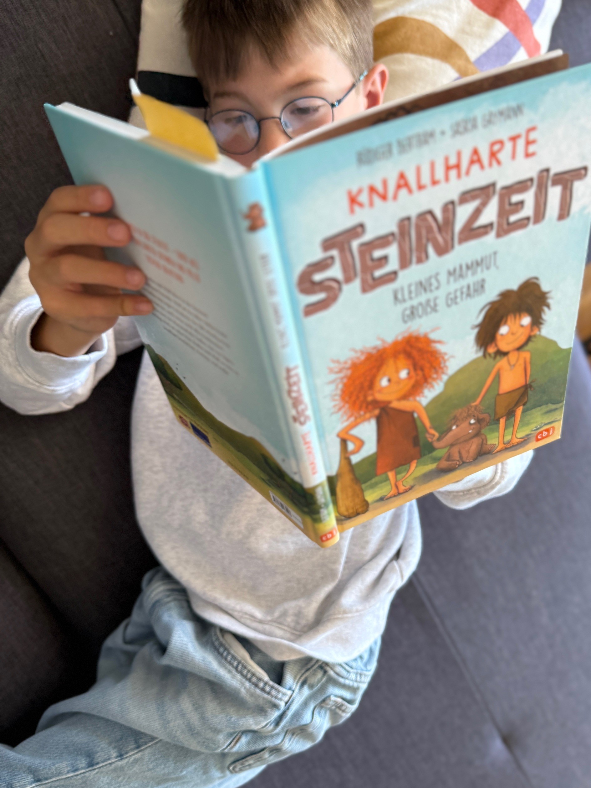 Steinzeit Buch