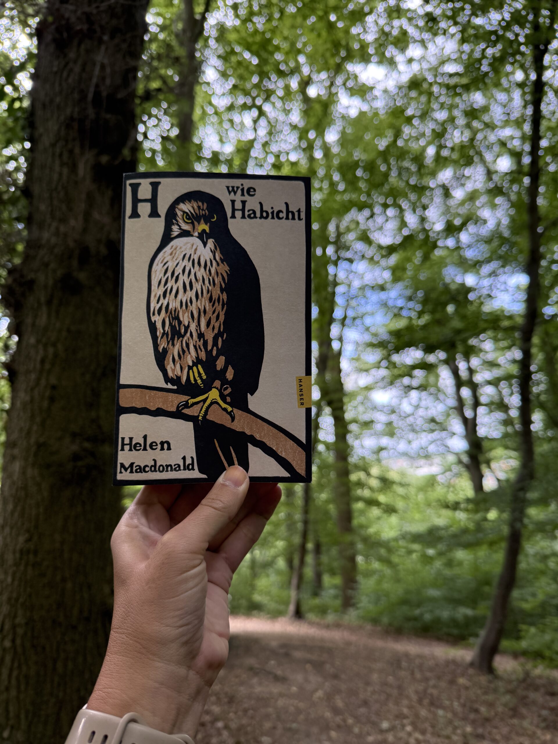Buch H wie Habicht