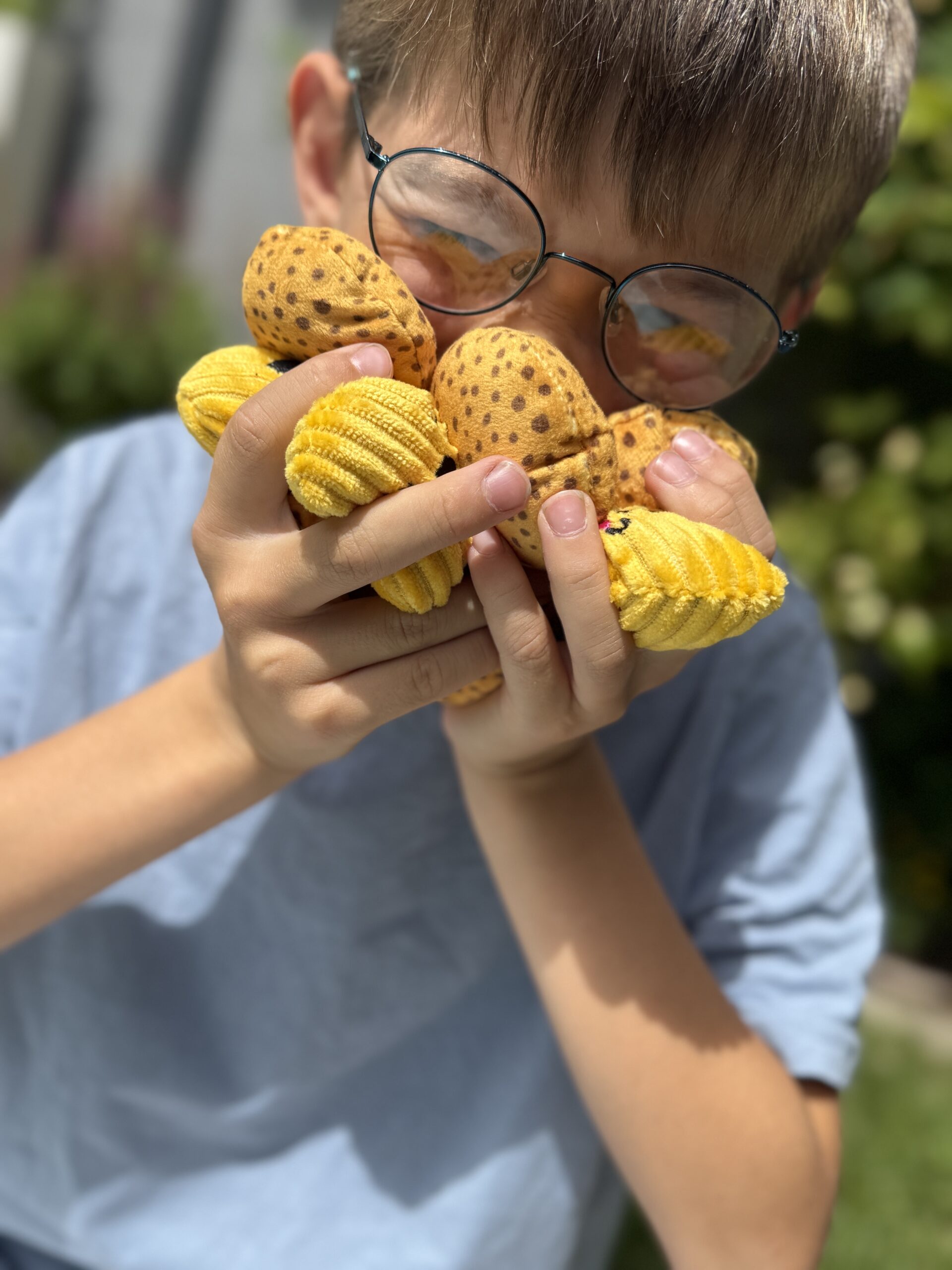 Fluffys Squischie Cookies alldoro
