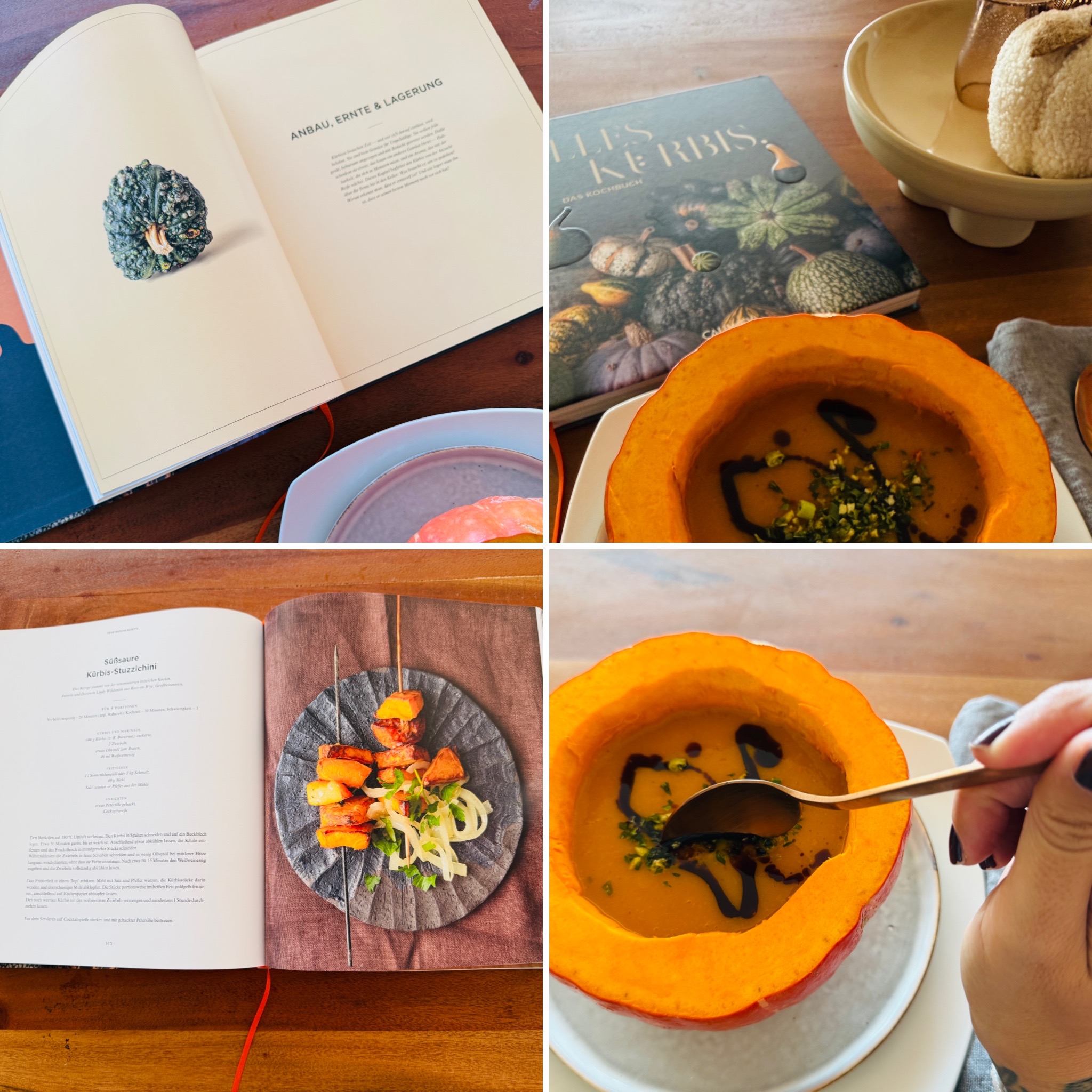 Alles Kürbis Buchtipp